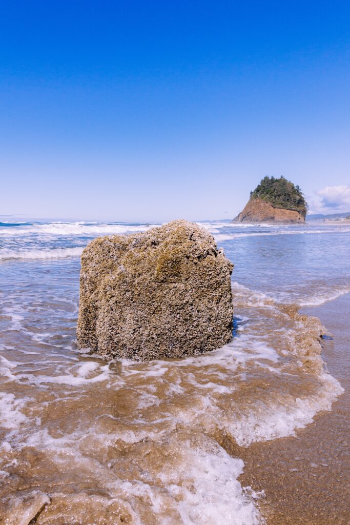 رحلة إلى جورجيا